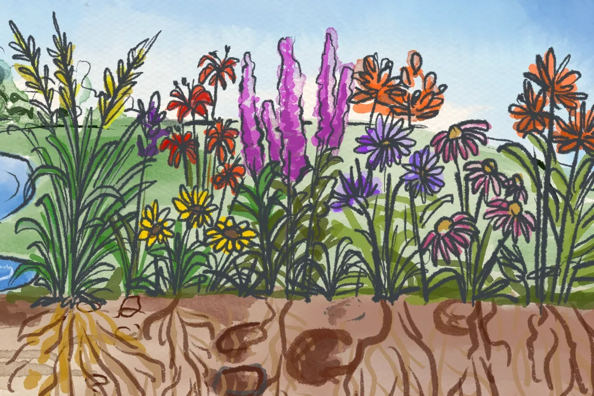 Artwork for Canton Field Notes, Issue One: Stories in the Soil