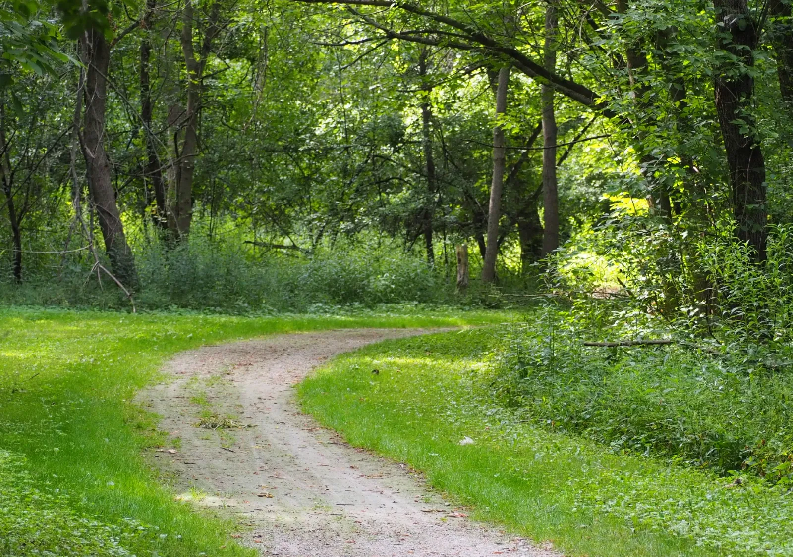 Zheshkwédokan: Morton–Taylor Trailhead
