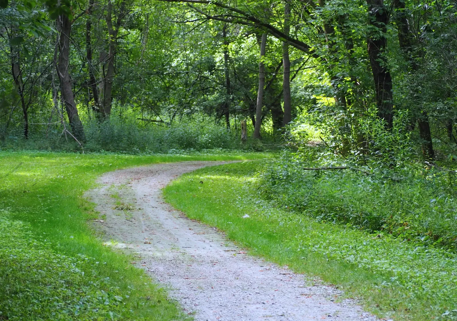 Prairie at Zibiwés Nature Area