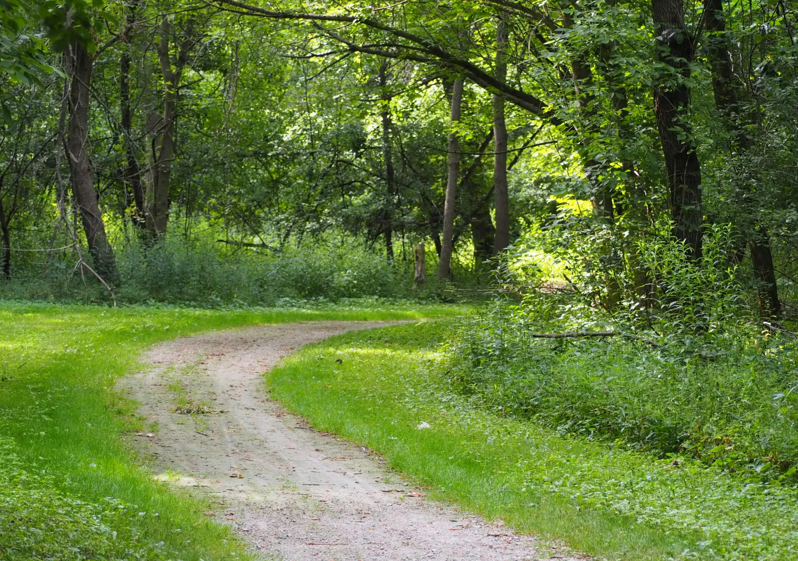Zheshkwédokan Nature Area